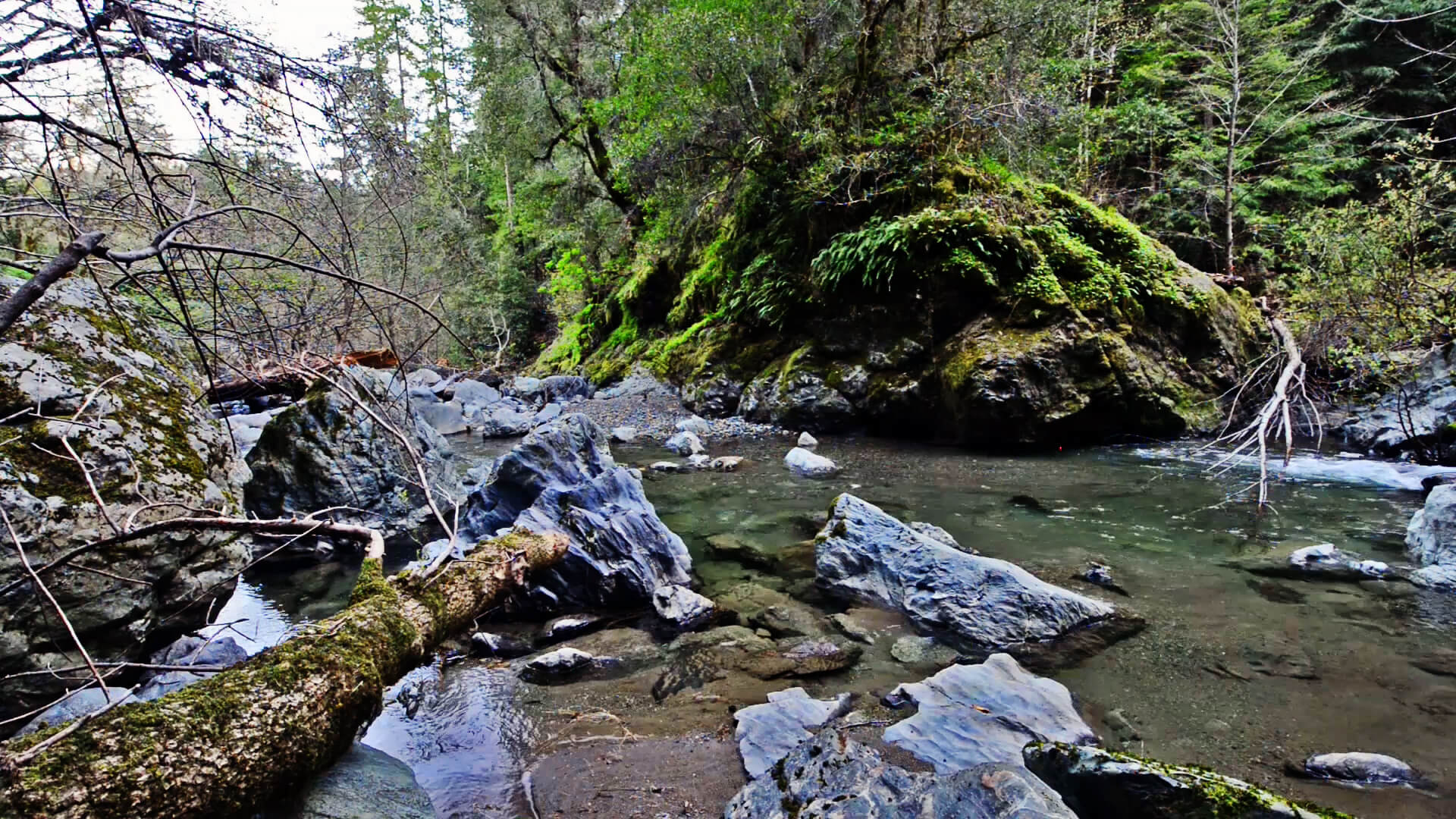 The Russian River And Let 60