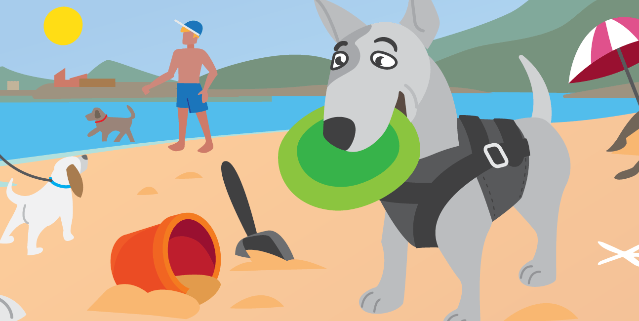 Dog Beach Safety