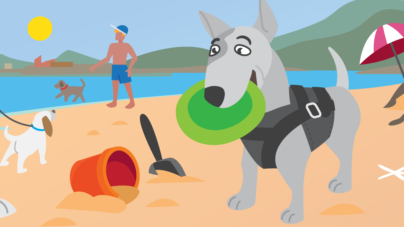 Dog Beach Safety